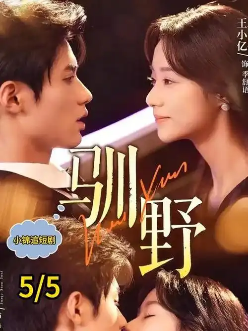 yy4480影视电视剧《第八号档案》剧集封面
